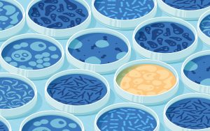 Illustration Showing Microbes in Petri Dishes