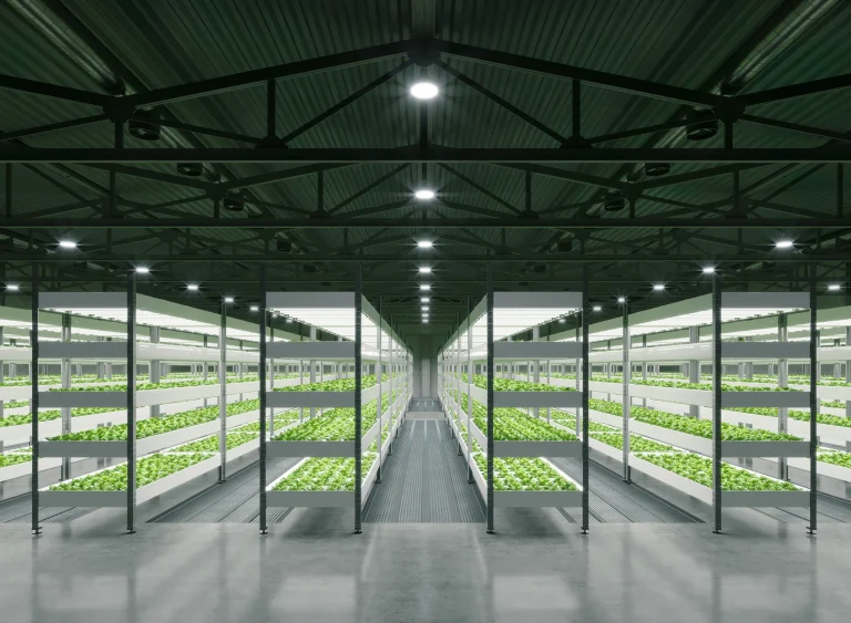 a photograph of elevated indoor plant beds in an illuminated warehouse.
